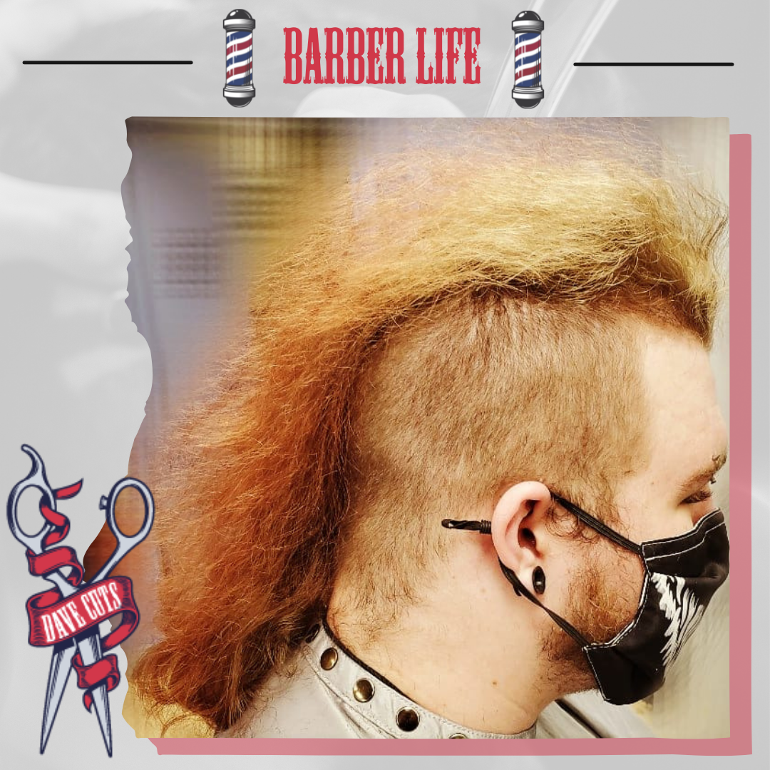 Return of the Mullet